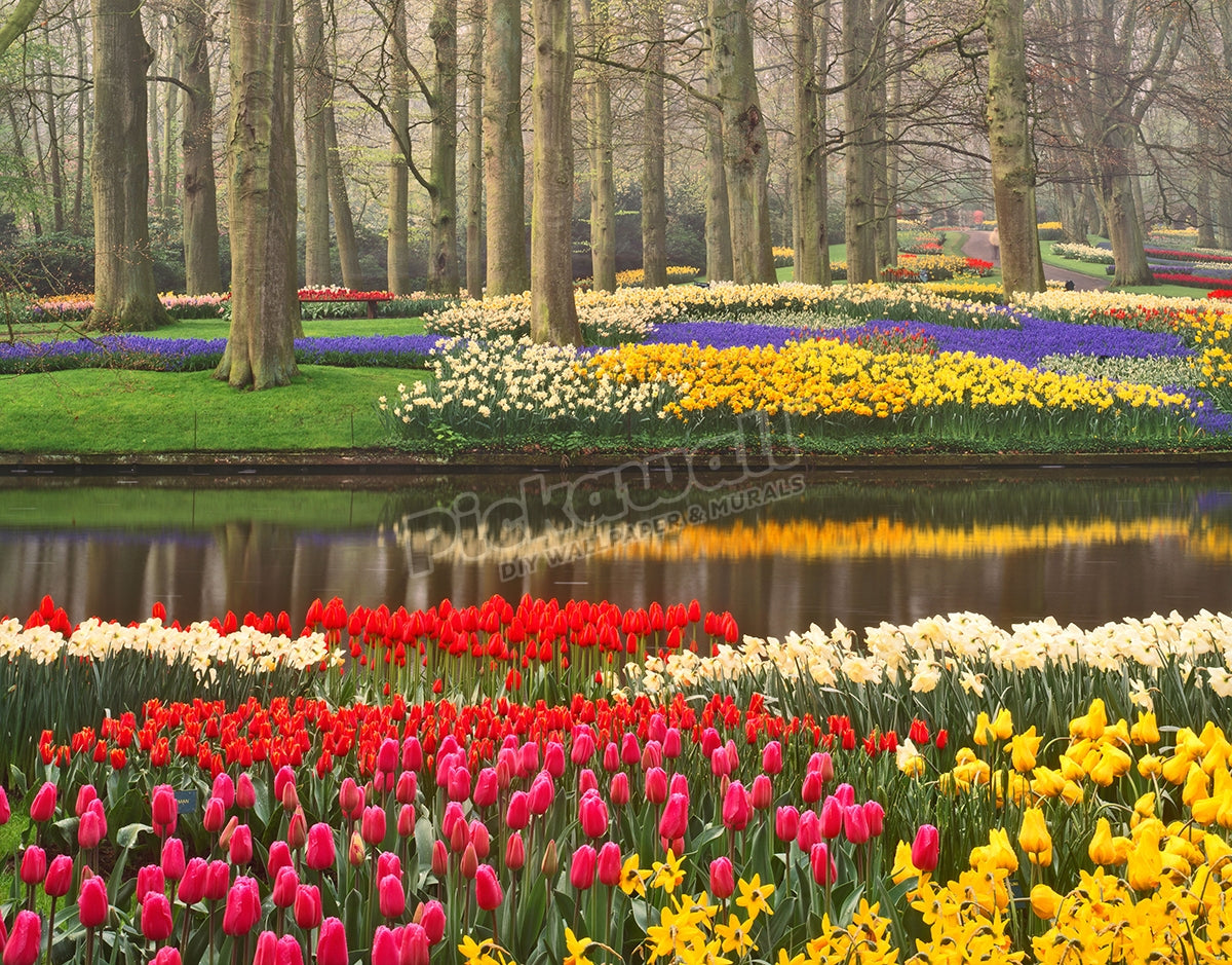 Spring Tulips and Flowers, Keukenhof Gardens, Netherlands