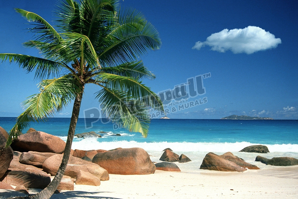 Sea, tropical beach, Seychelles