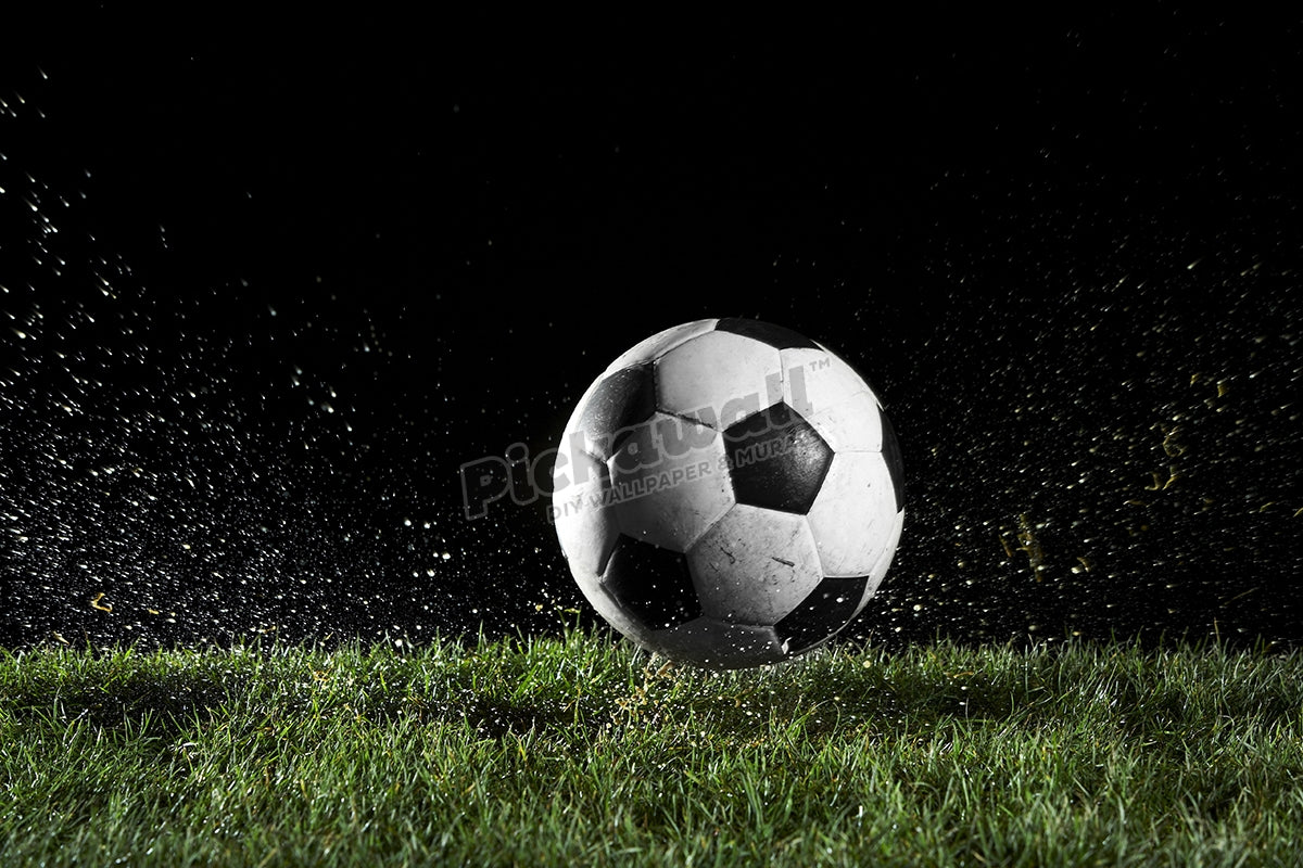 Soccer ball in motion over grass