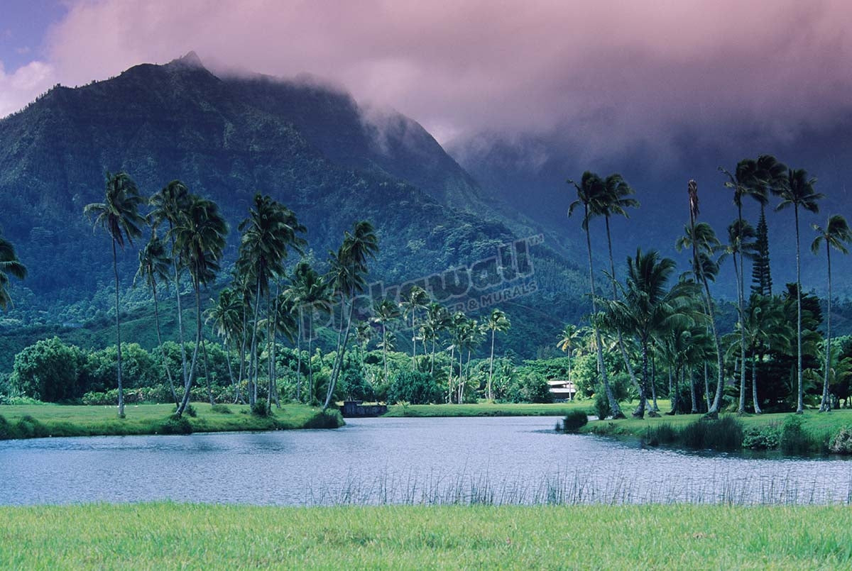 Looking across tropical landscape up to Mt Waialeale from Hanalei, Hawaii
