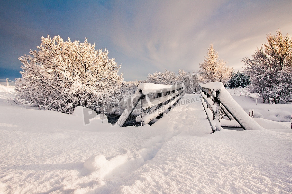 Snowy bridge at winter