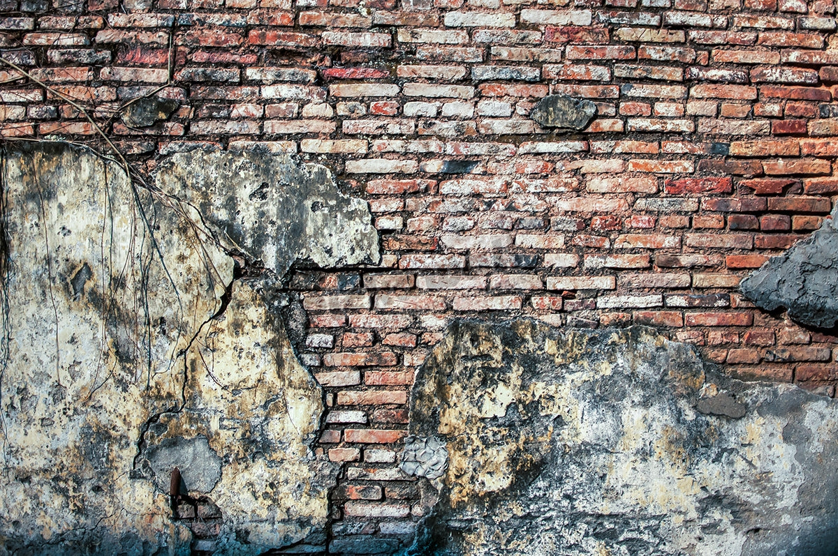 The Old Brick Wall