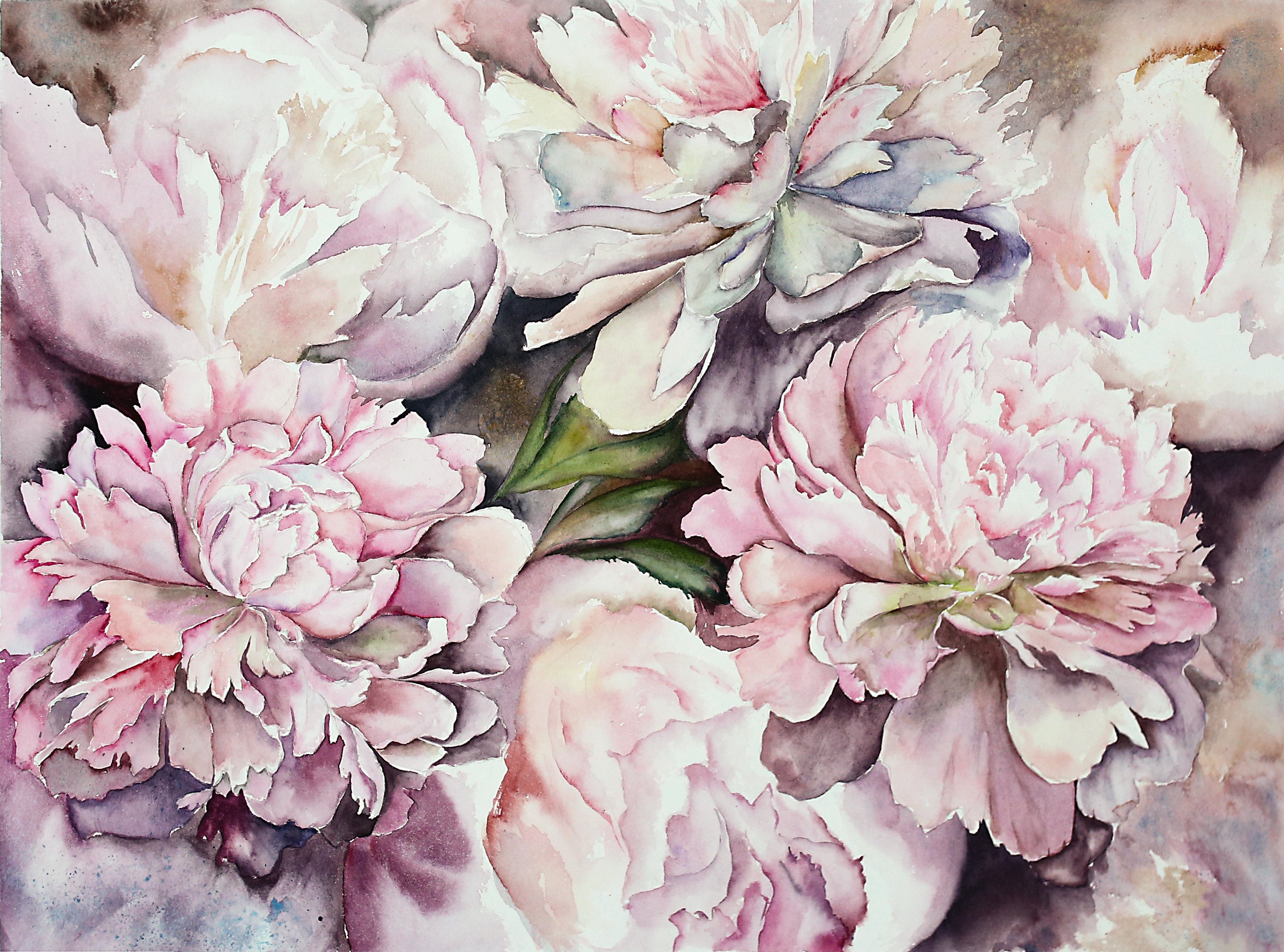 Watercolour Pink Peonies