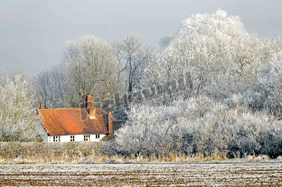 Country cottage in winter wonderland of trees covered in frost