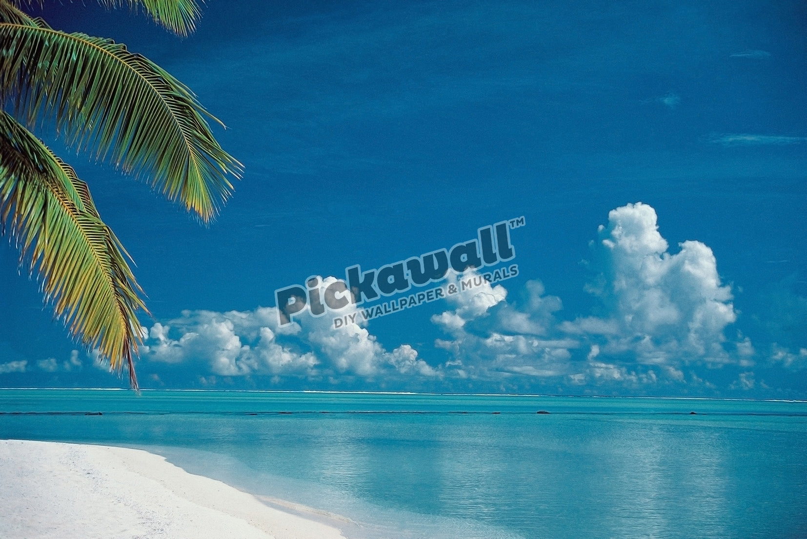 View of ocean and tropical beach. Cook islands. Aitutaki