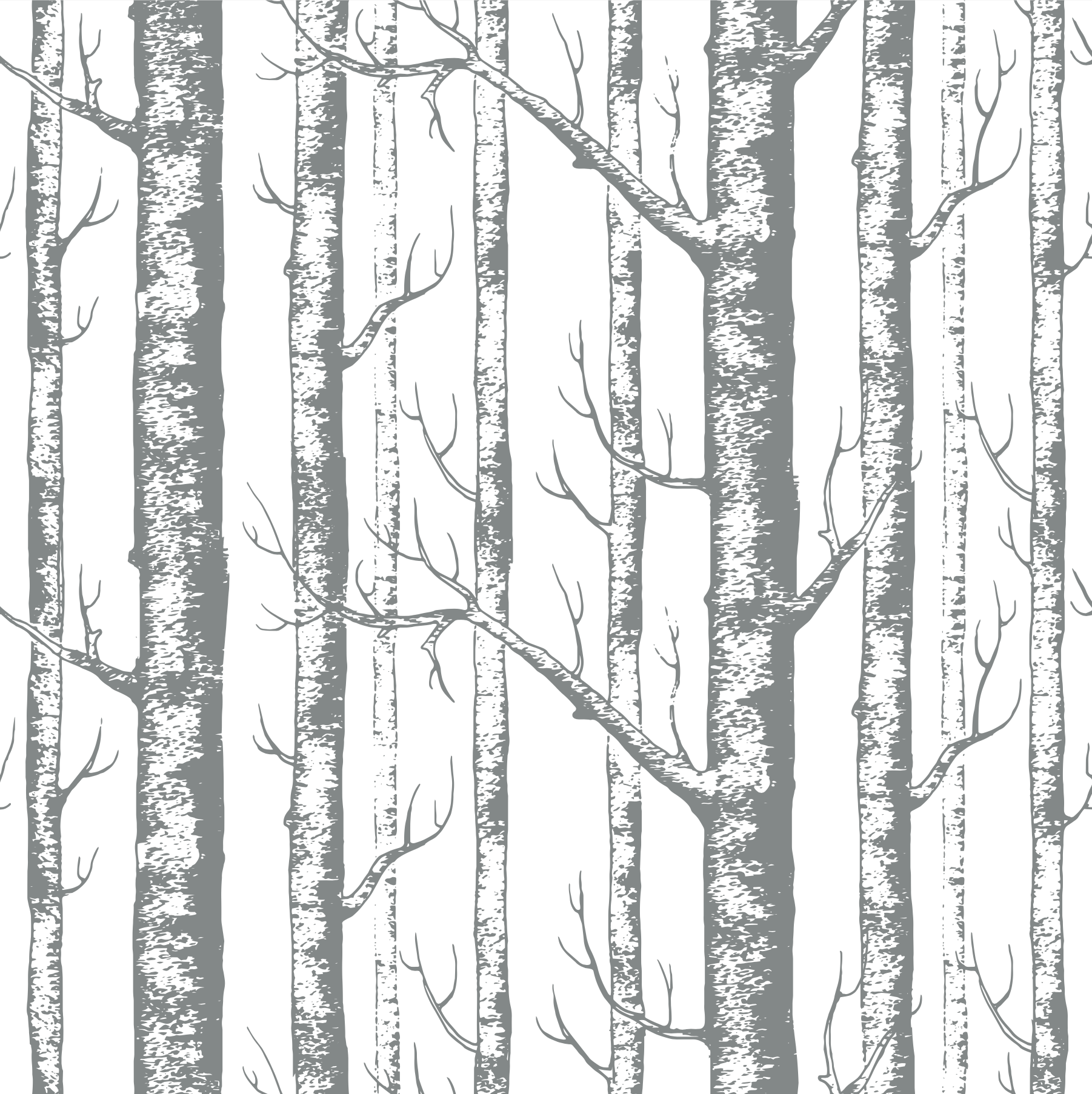 Birch Forest