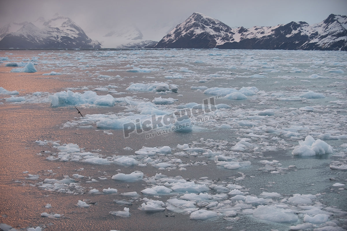Fortuna Bay Ice Water