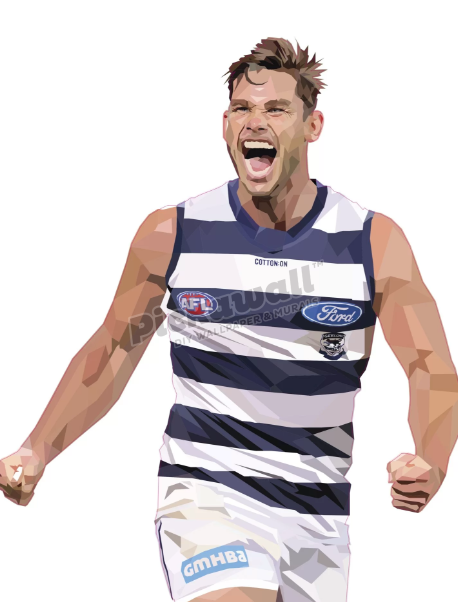 Tom Hawkins by DG Designs X AFL - Tom Hawkins Decal image