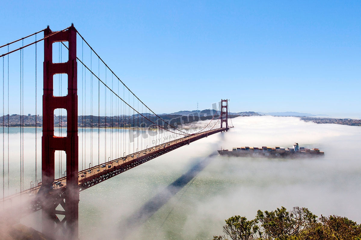 Cargo ship passing under the Golden Gate bridge, San Francisco