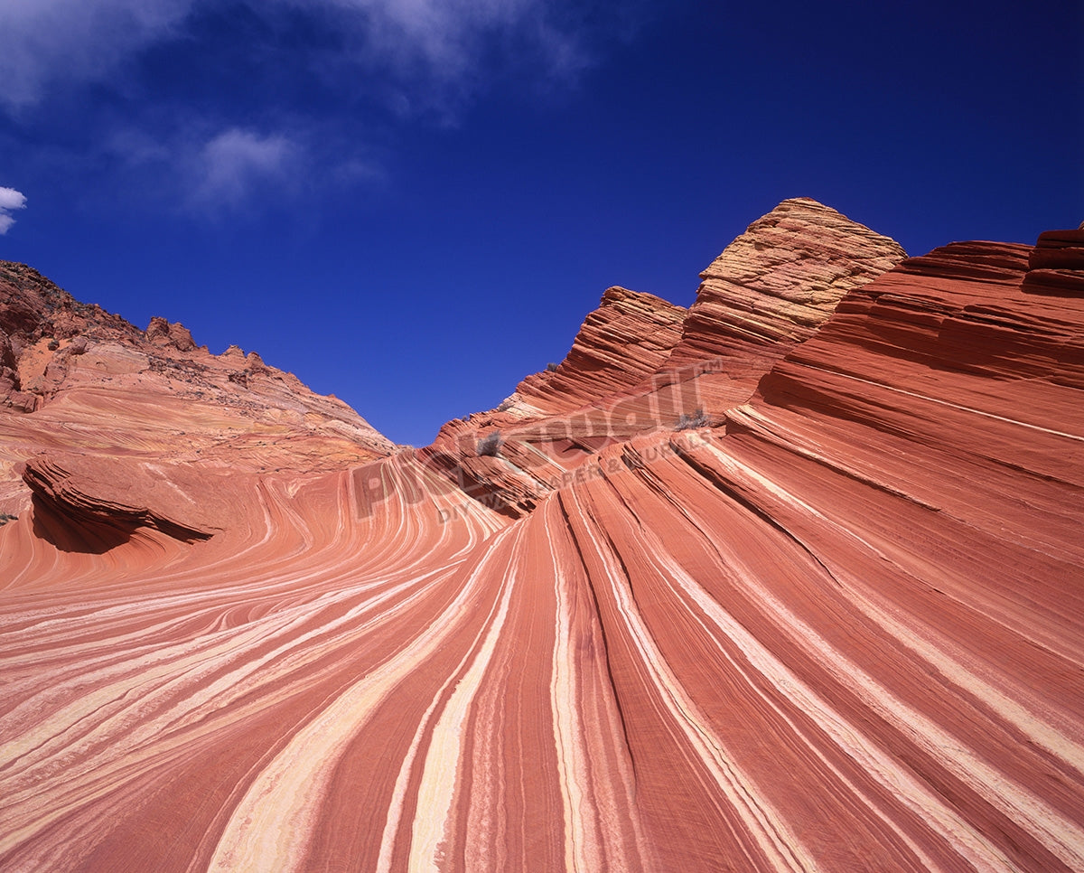Striped sandstone landscape of Paria canyon