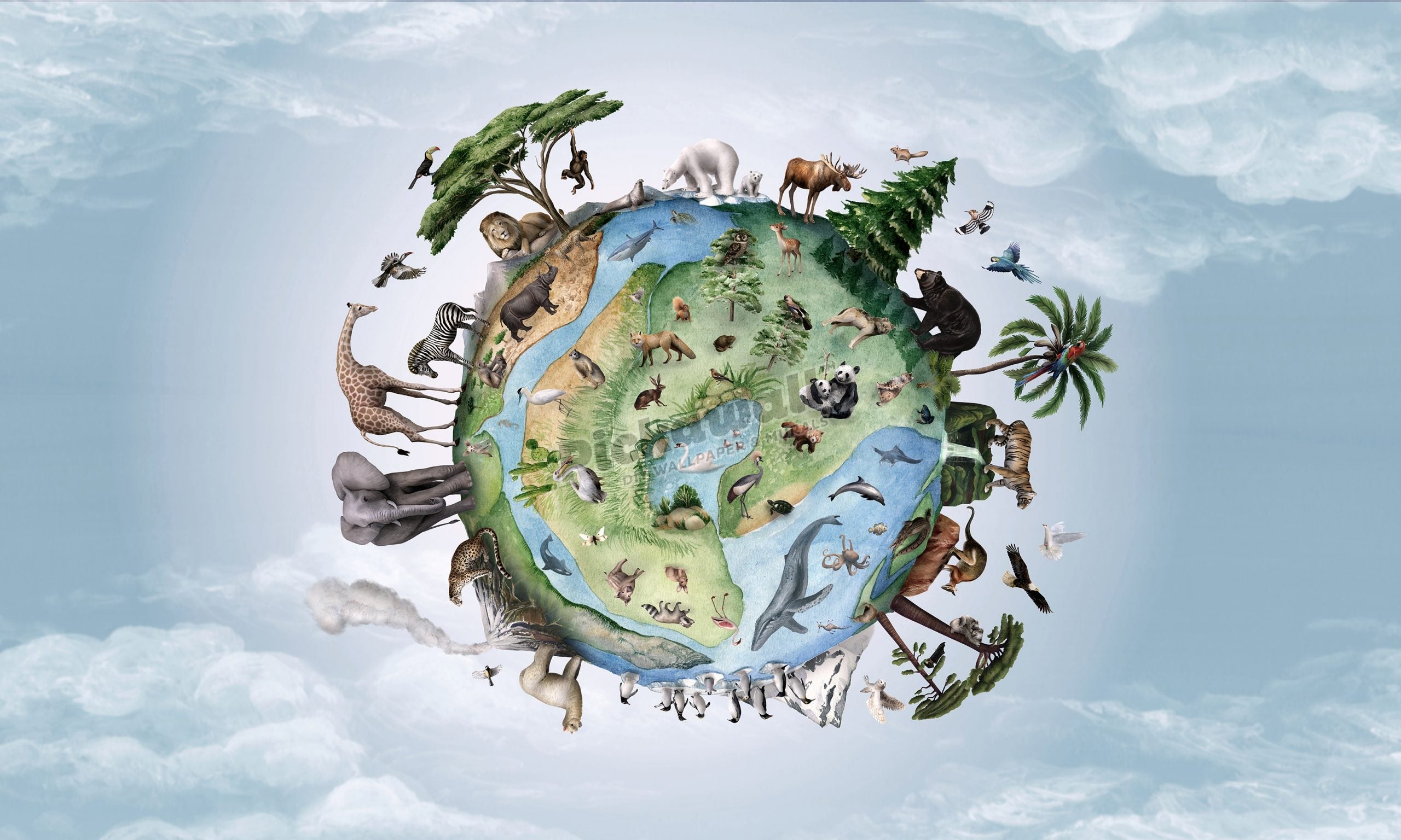 Animals on Earth by Kikki Belle