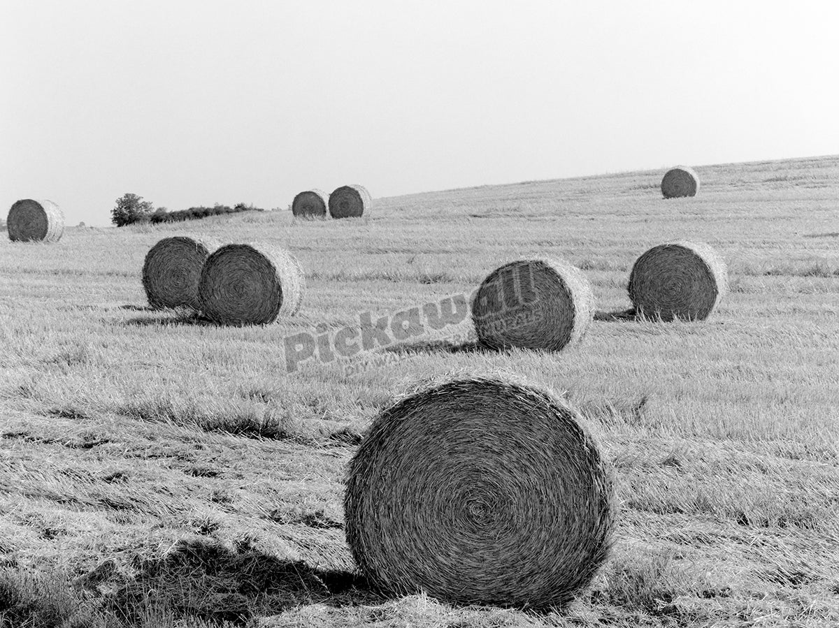 Hay field, Germany