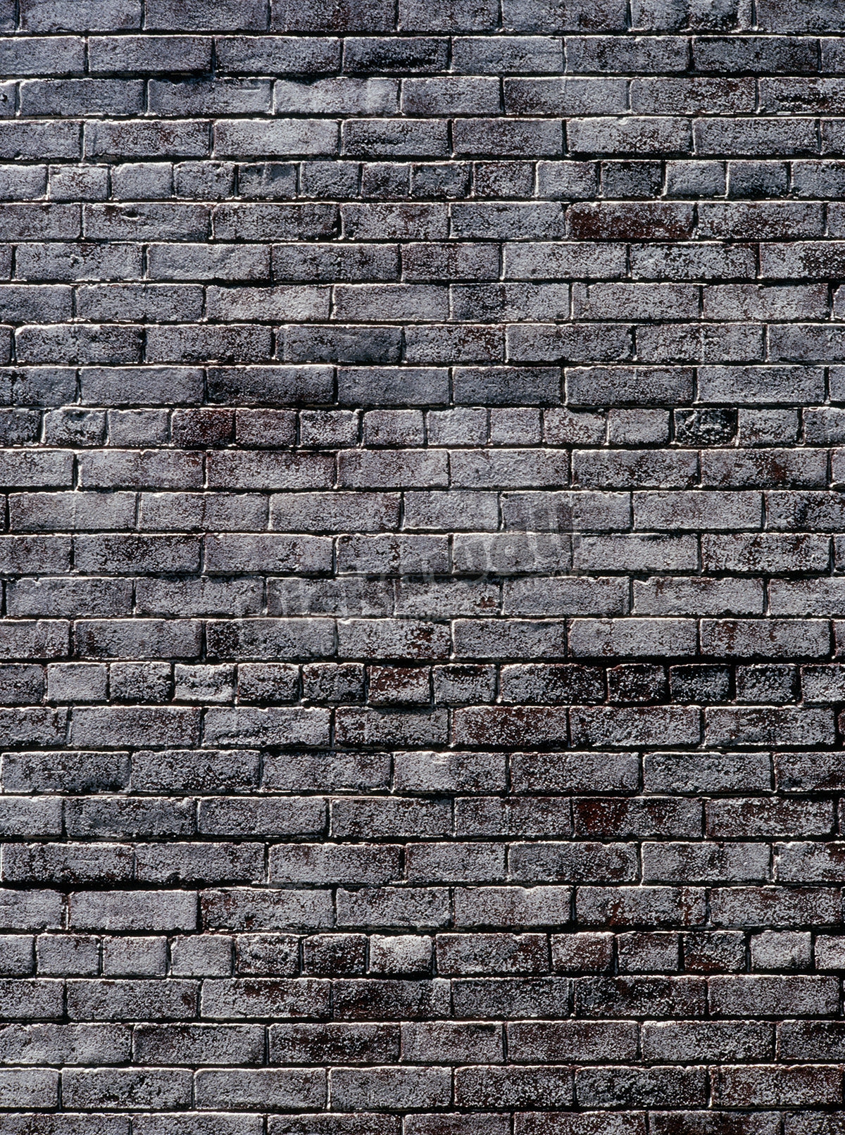 Brick wall (B&W)