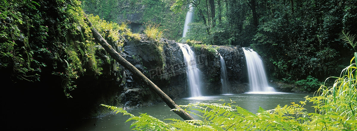 Nandroya Falls Wooroonooran National Park Queensland Australia
