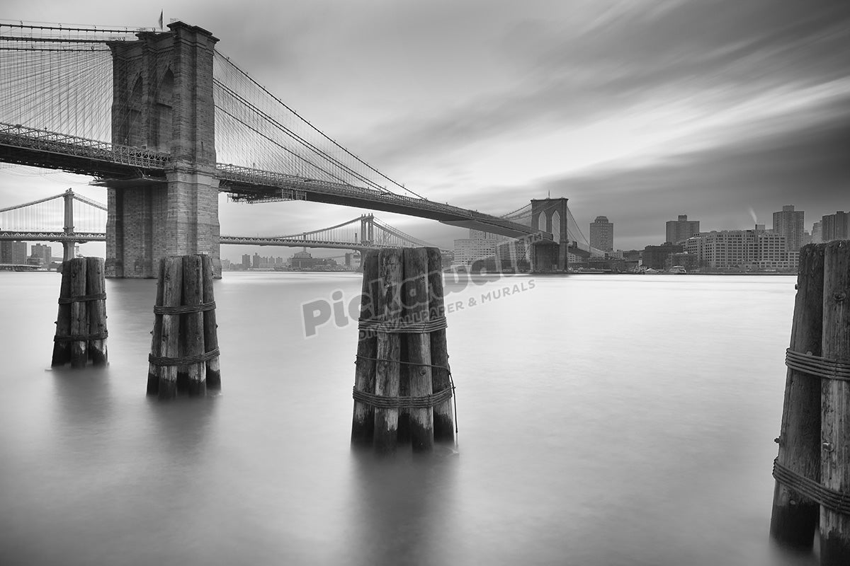 Black and white Brooklyn bridge