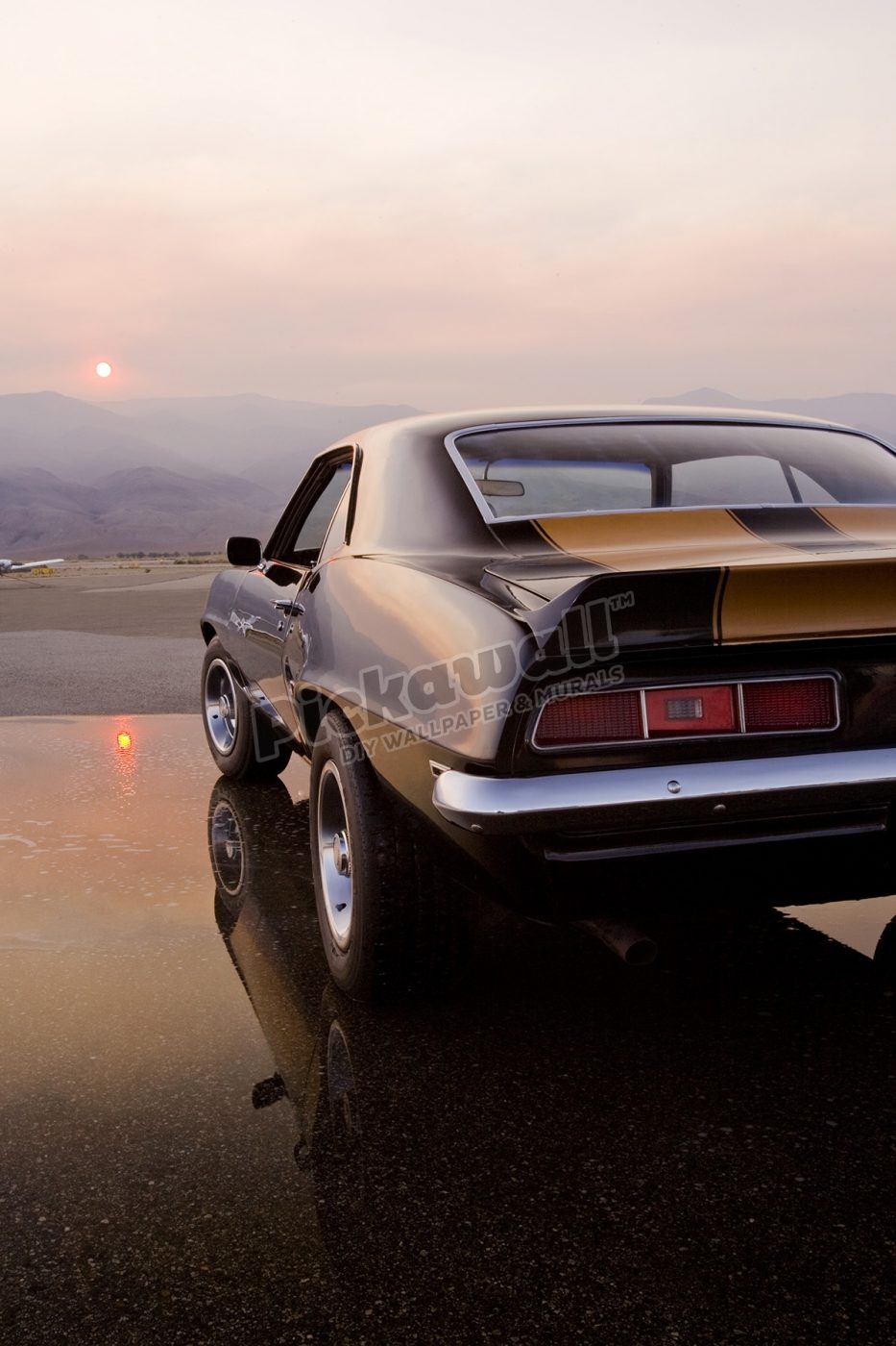 American Muscle Car