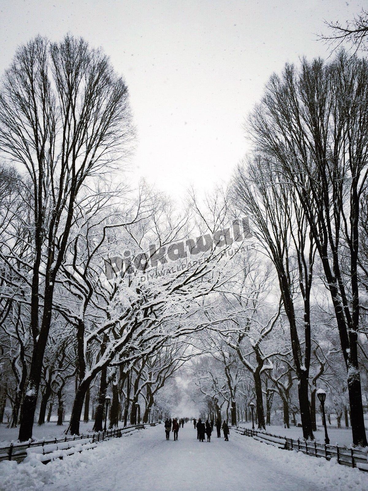 Winter in NYC