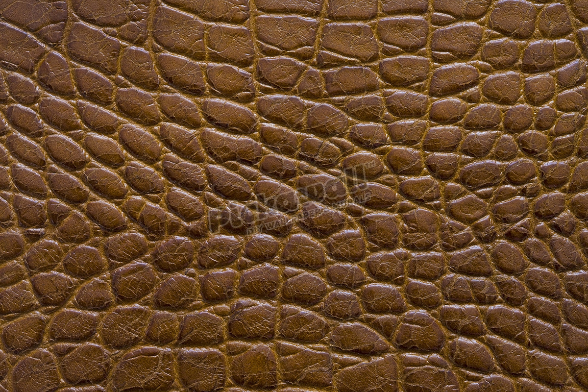 Snakeskin Leather