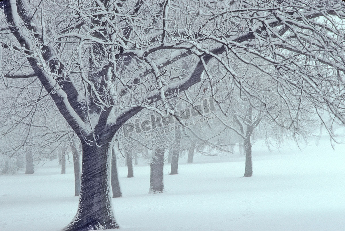 London Snow Storm