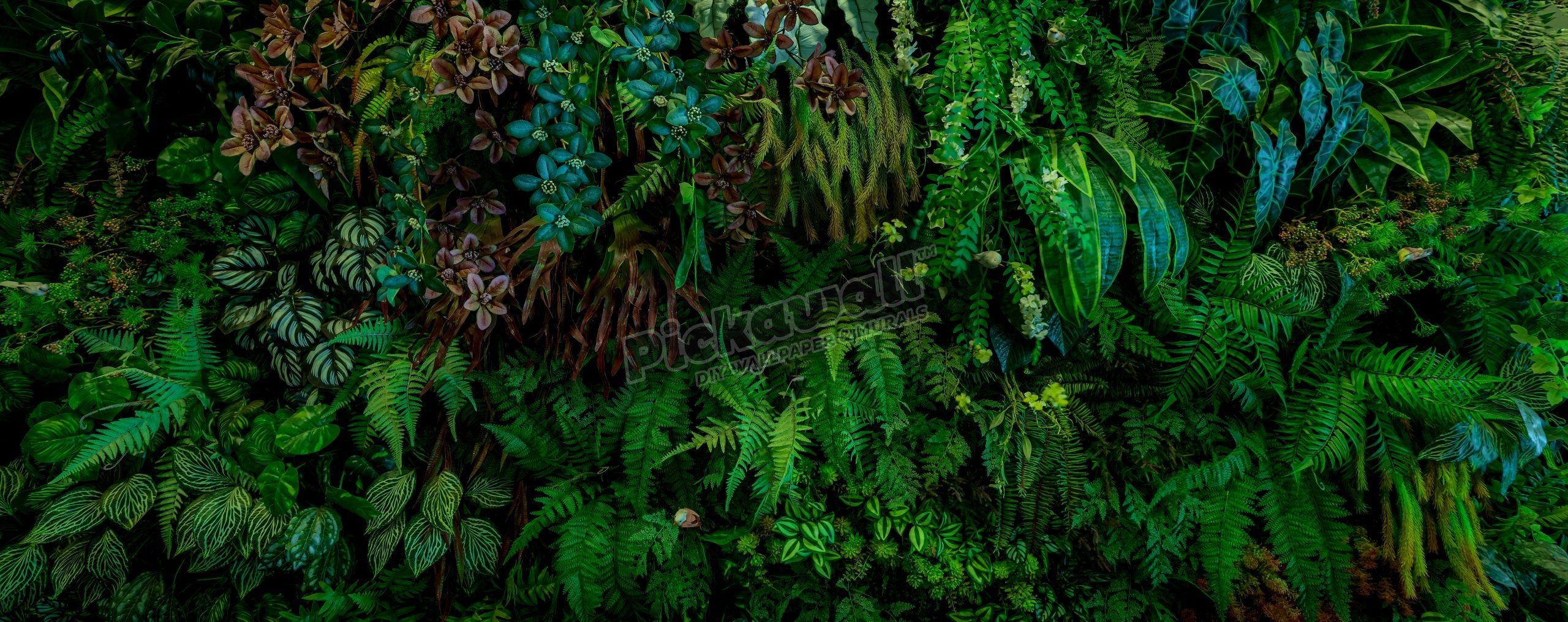 Green Walls Fern