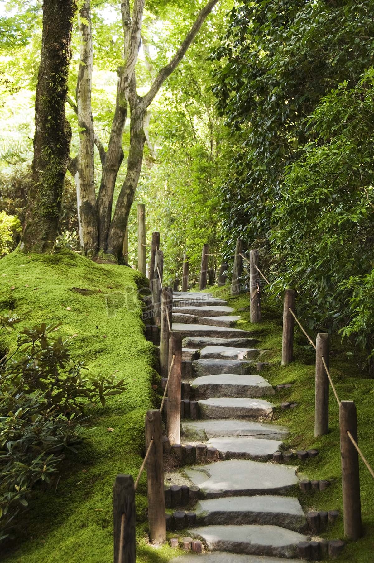 Stone steps leading through Shoyoen garden at Rinno-ji temple.