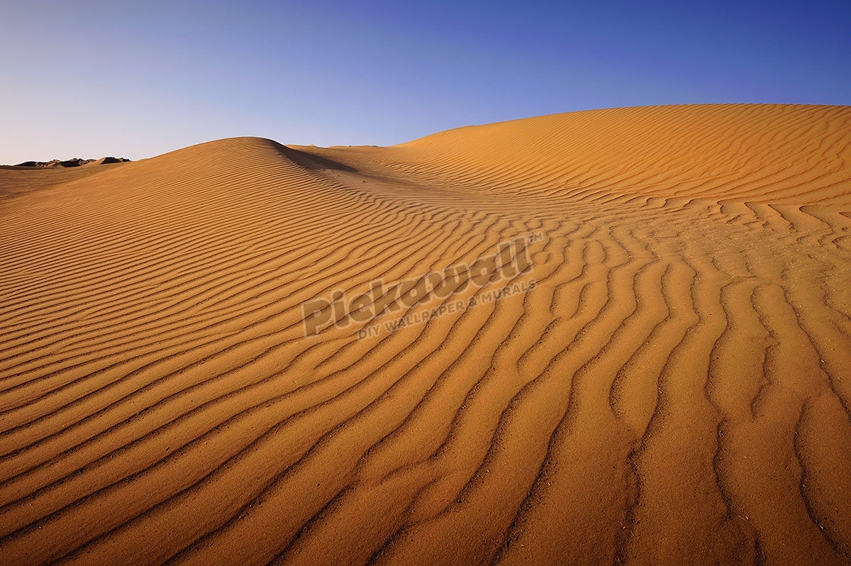 Kuwaiti Sand Dunes