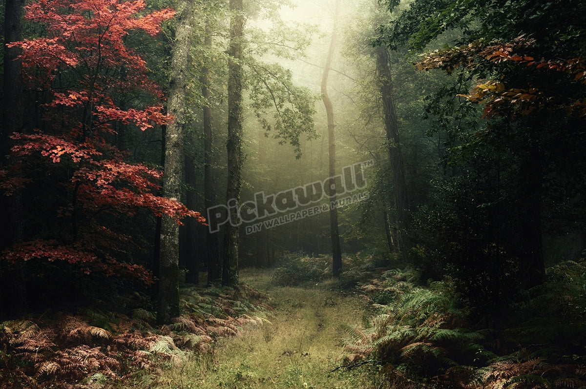 broceliande