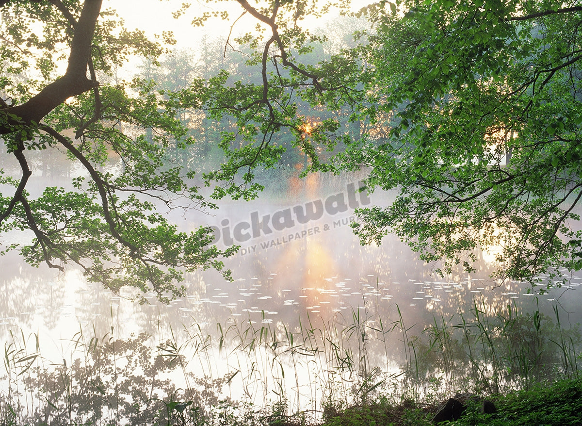 Morning mist over tree lined lake in Sweden at sunrise