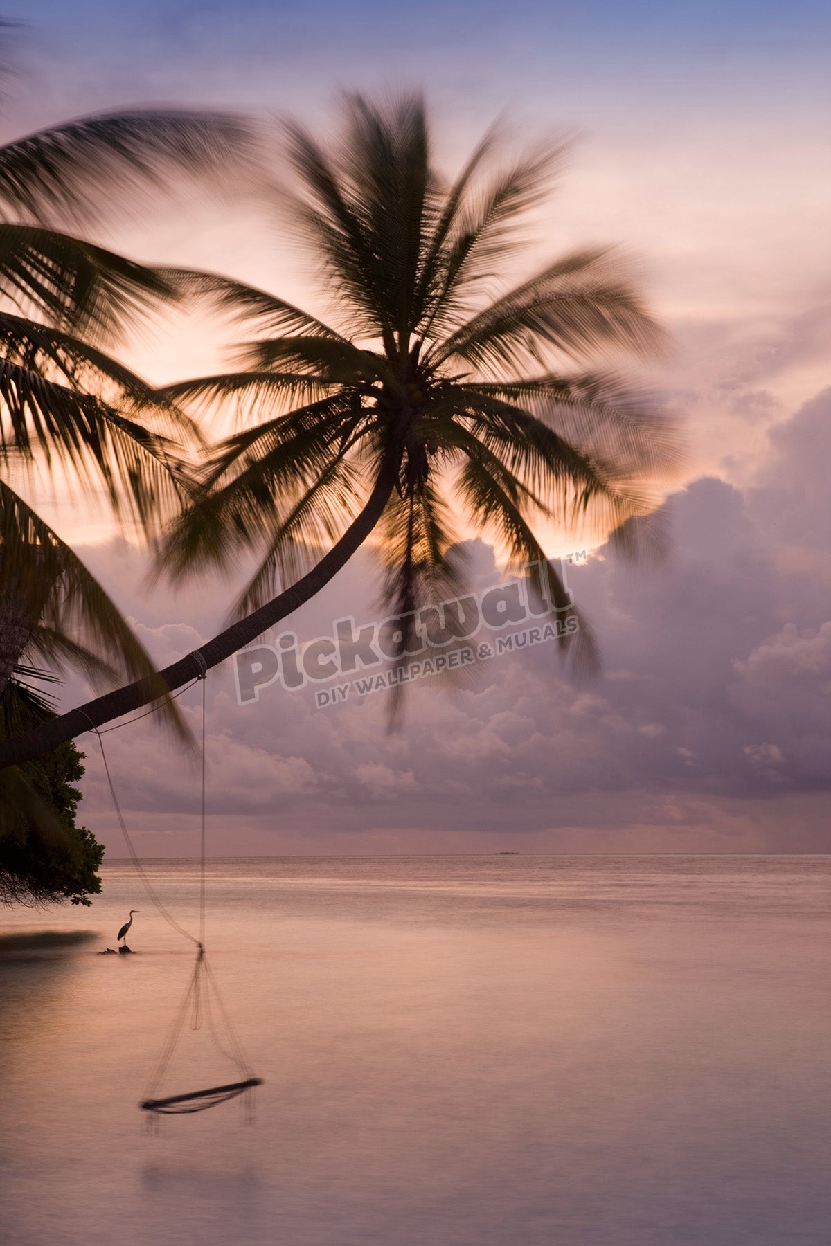 Rope swing at dusk