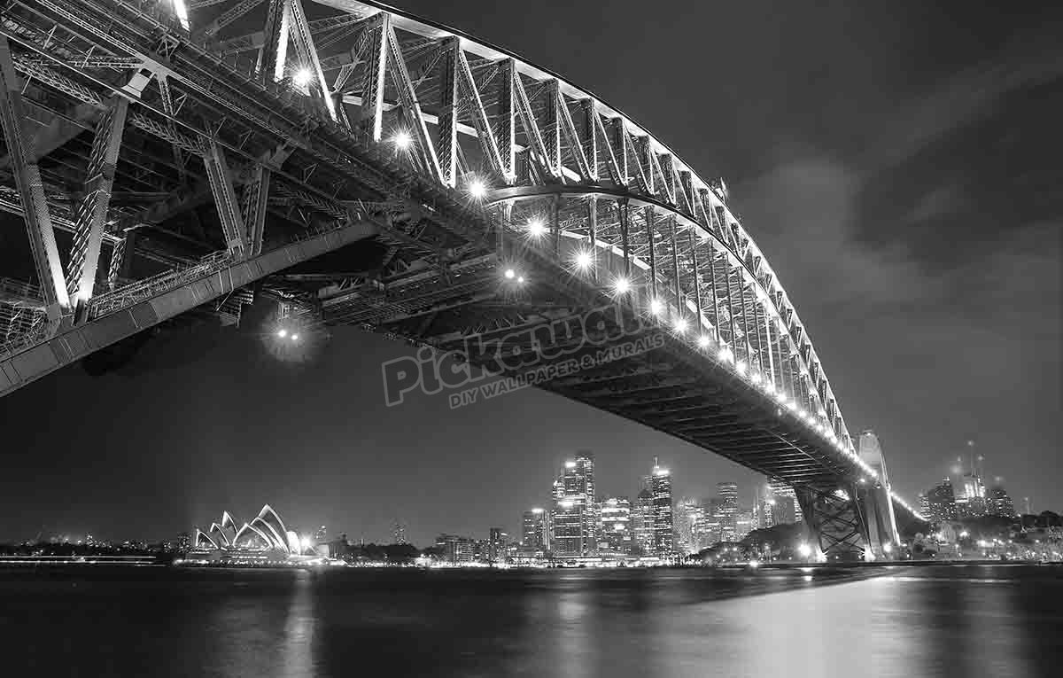 Sydney Skyline and Harbor Bridge at night