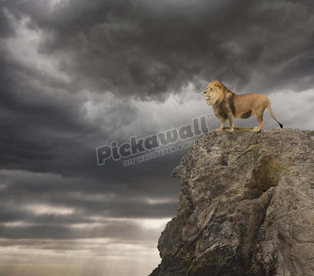 Lion king