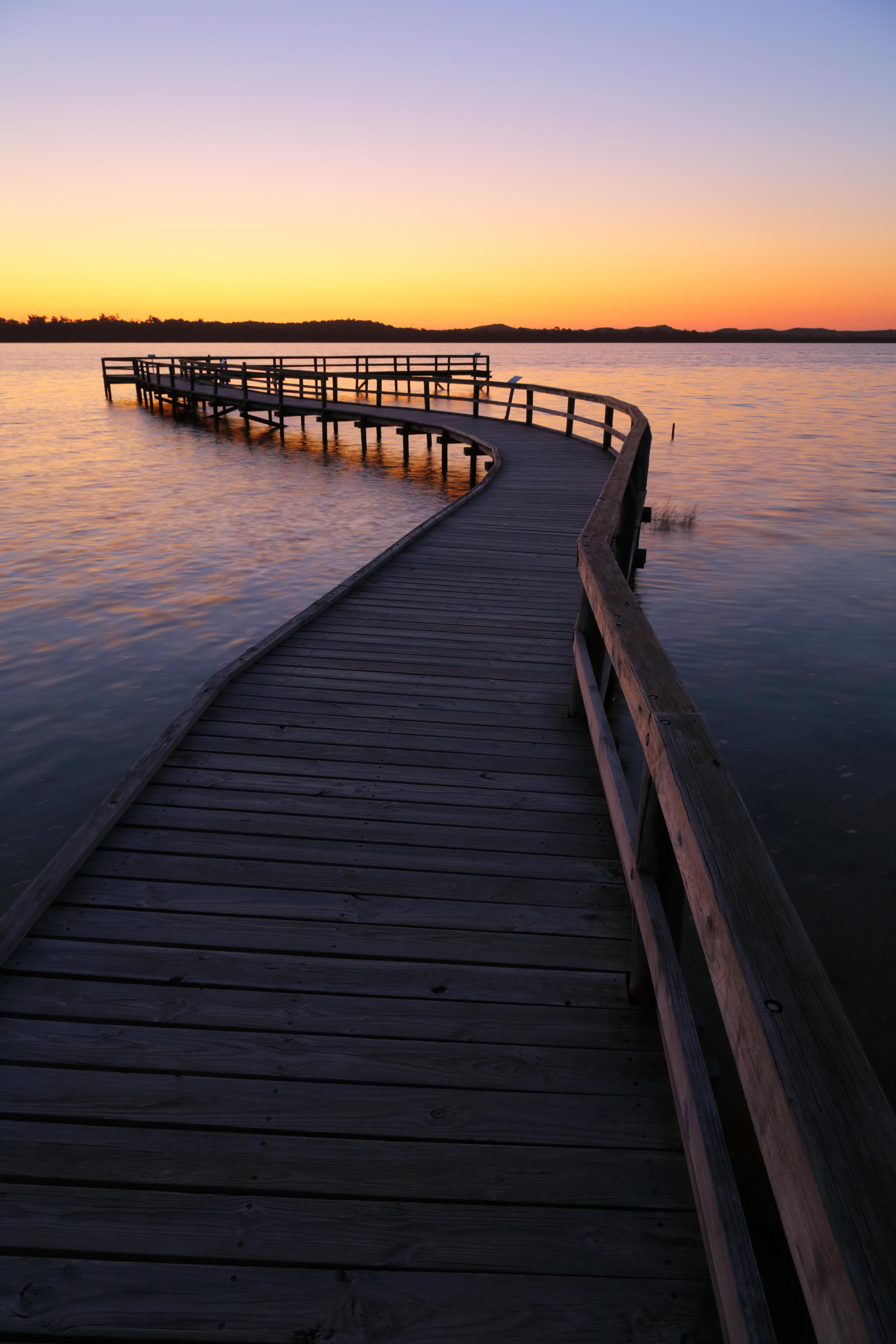 boardwalk over Lake Clifton