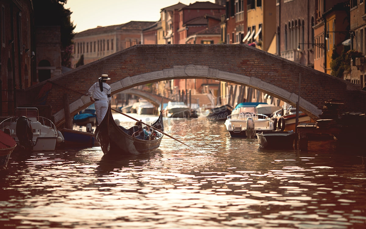 Gondolier riding gondola