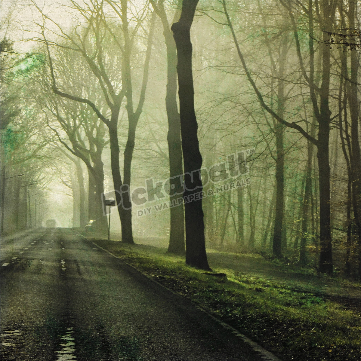 Road with mist