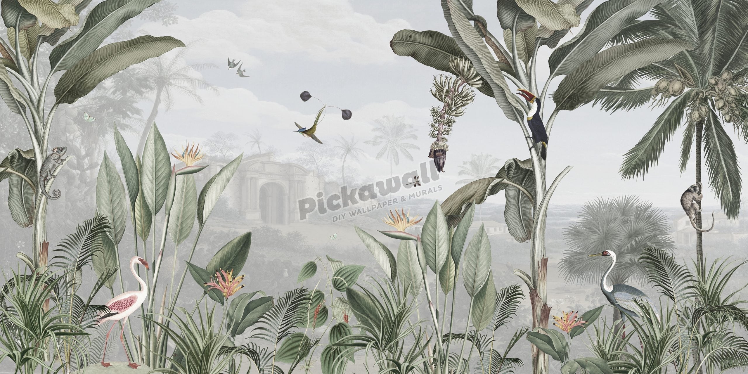 Botanical Beauty Colour by Sir Edward