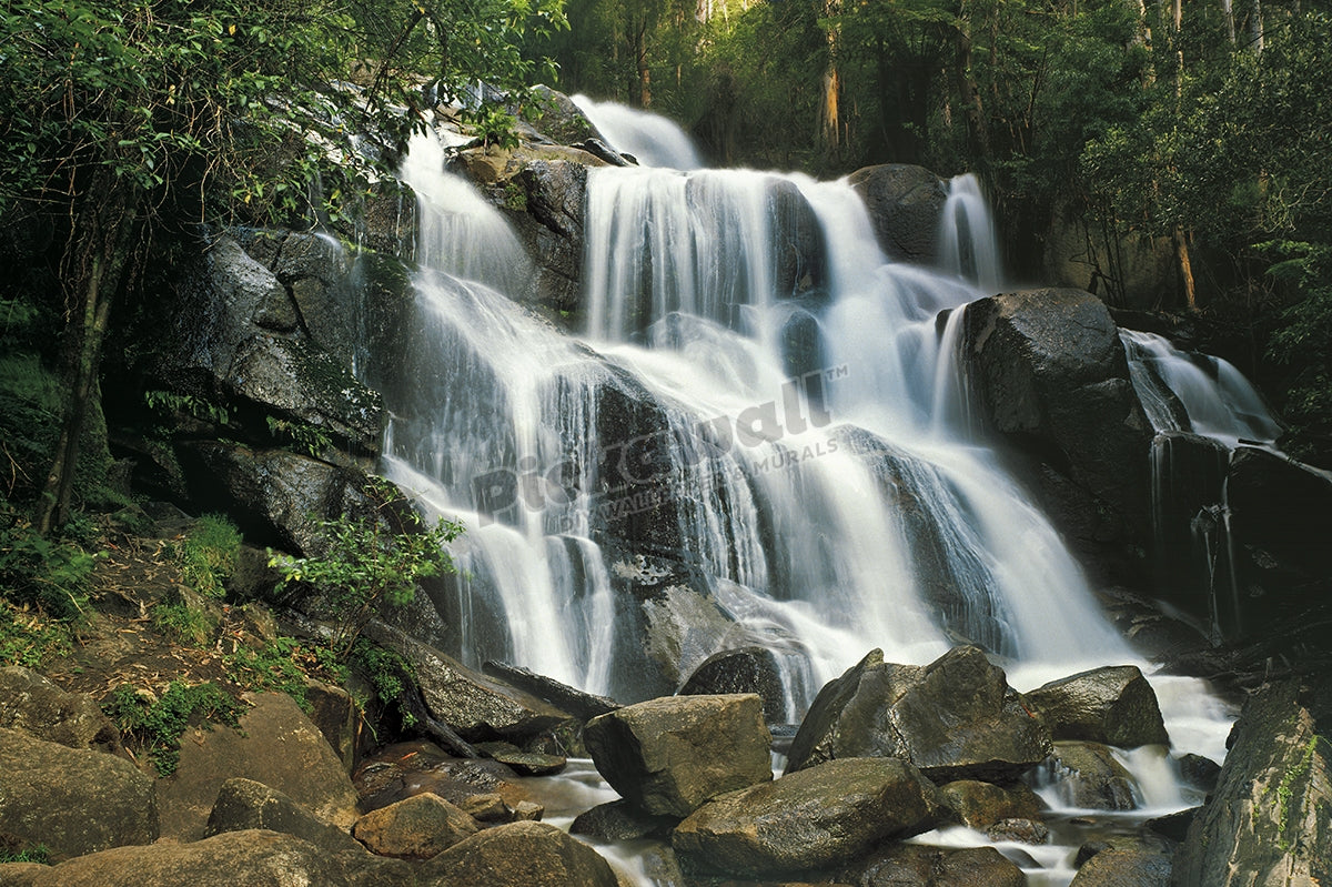 Toorongo Falls in West Gippsland, Victoria, Australia