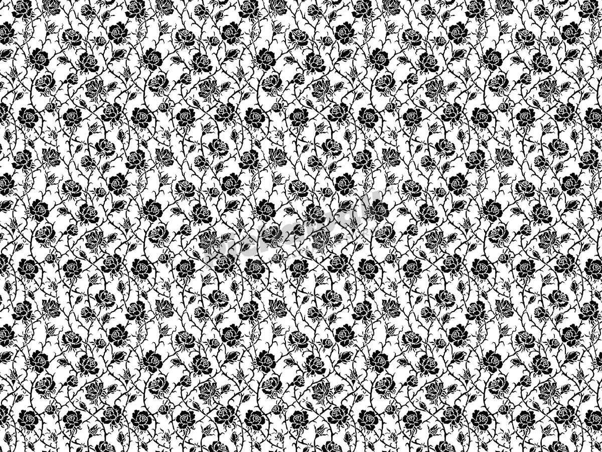 Black Rose Vines on White