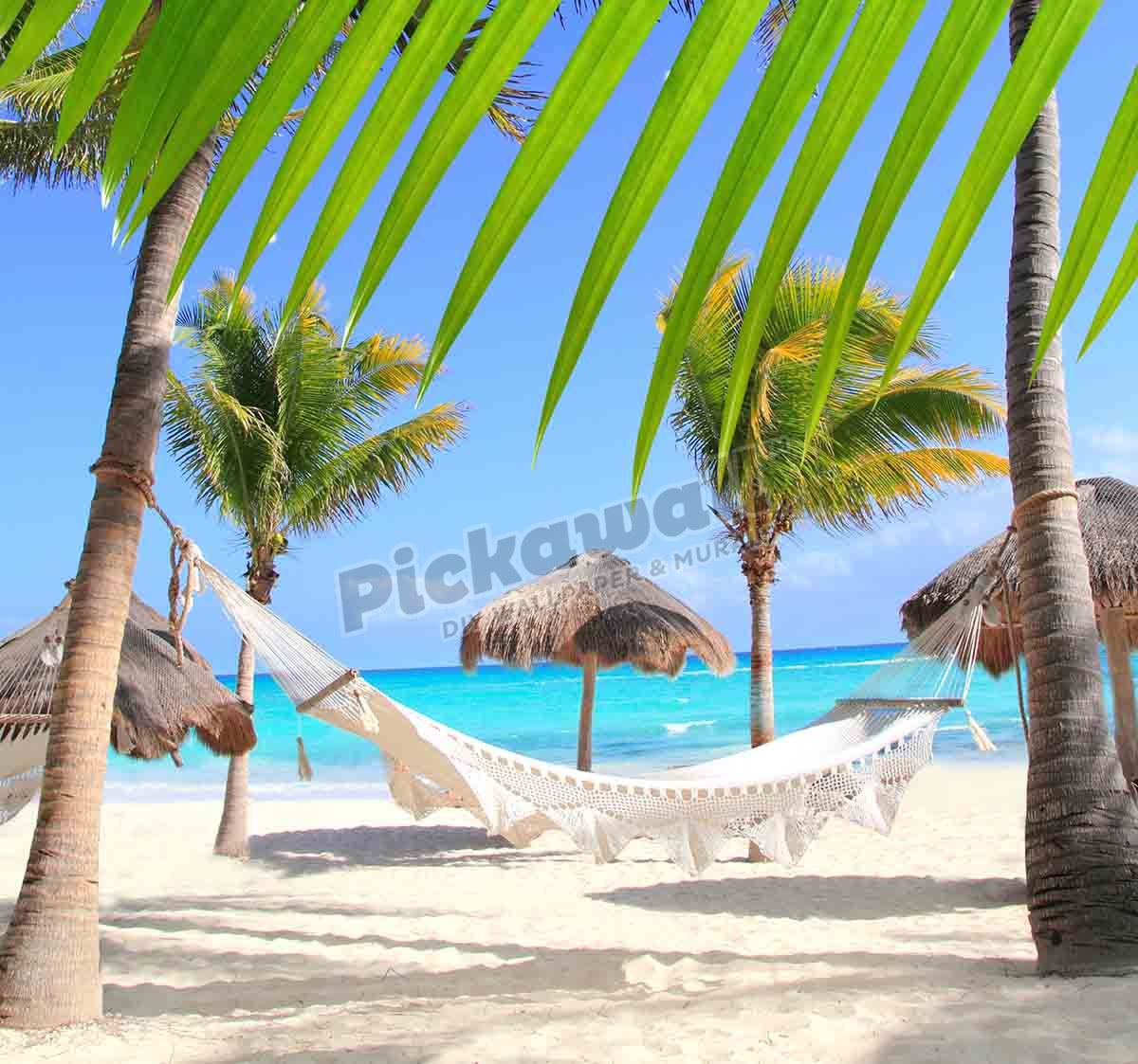 Caribbean beach hammock and palm trees in Mayan Riviera Mexico