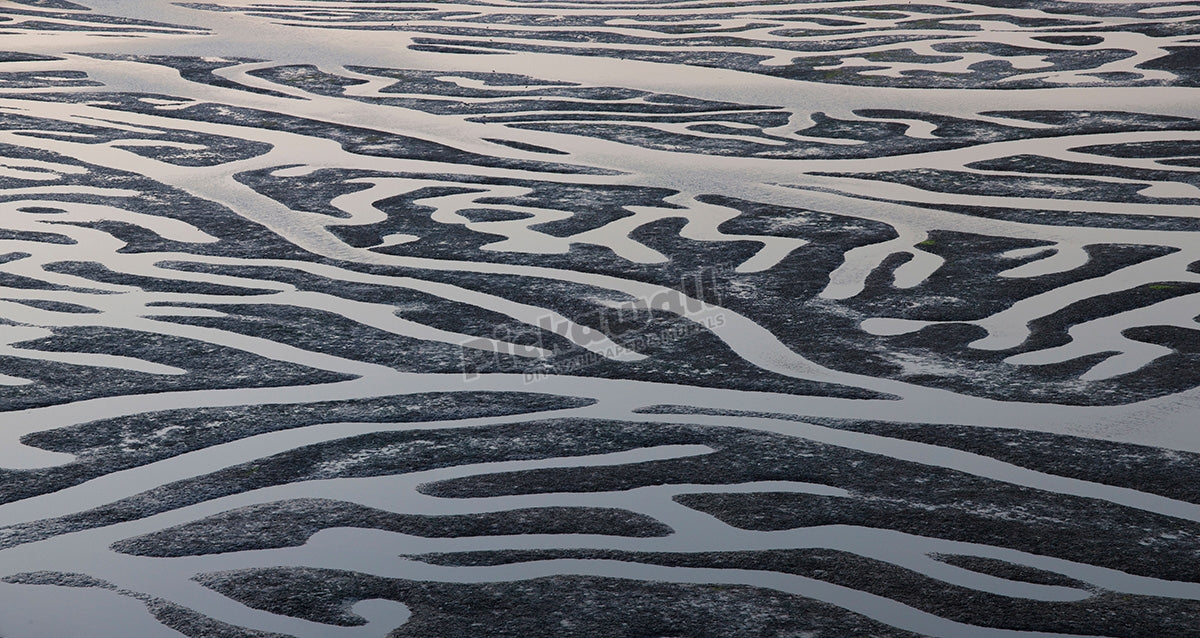 Home Bay at Low tide