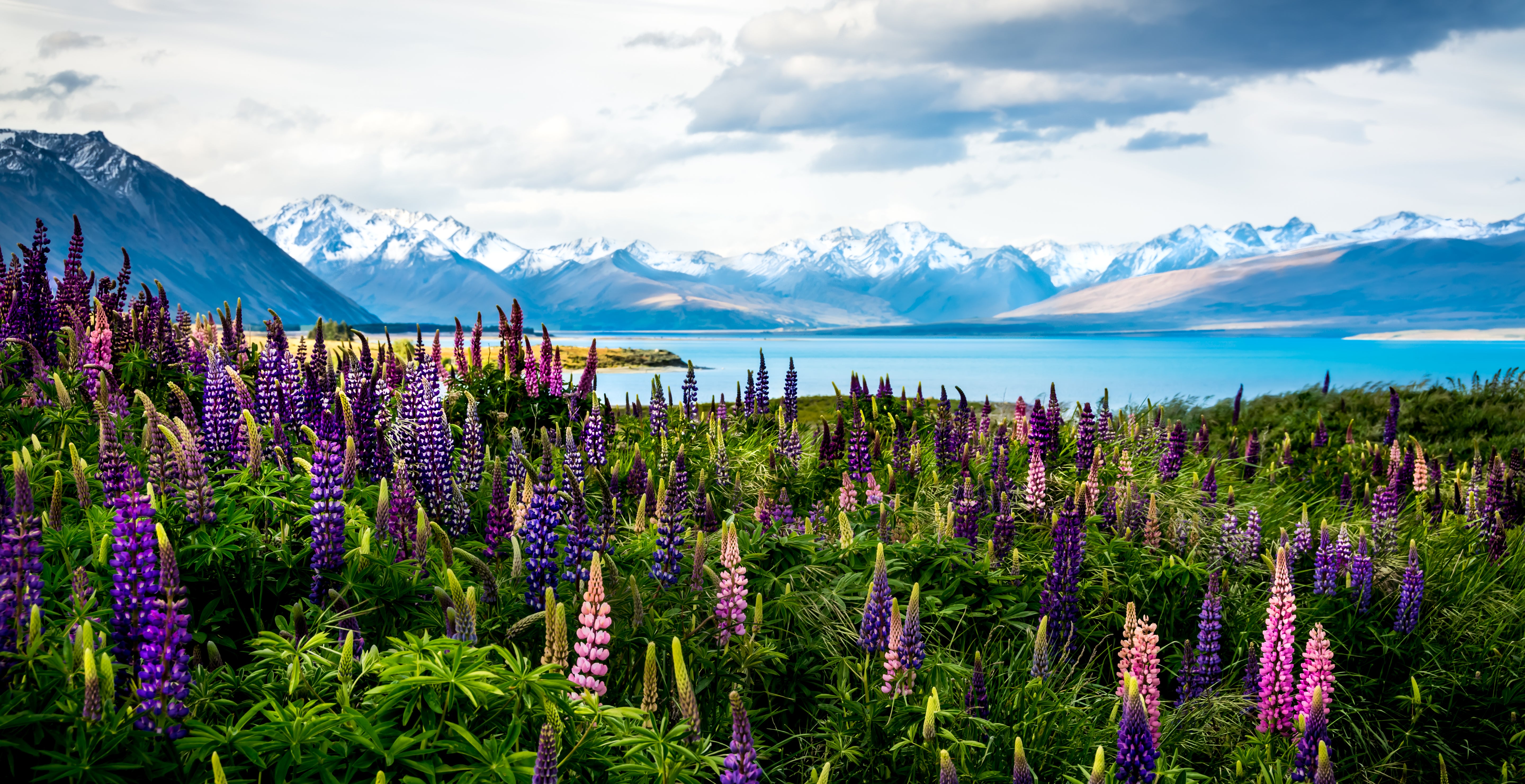 Lavender Mountains