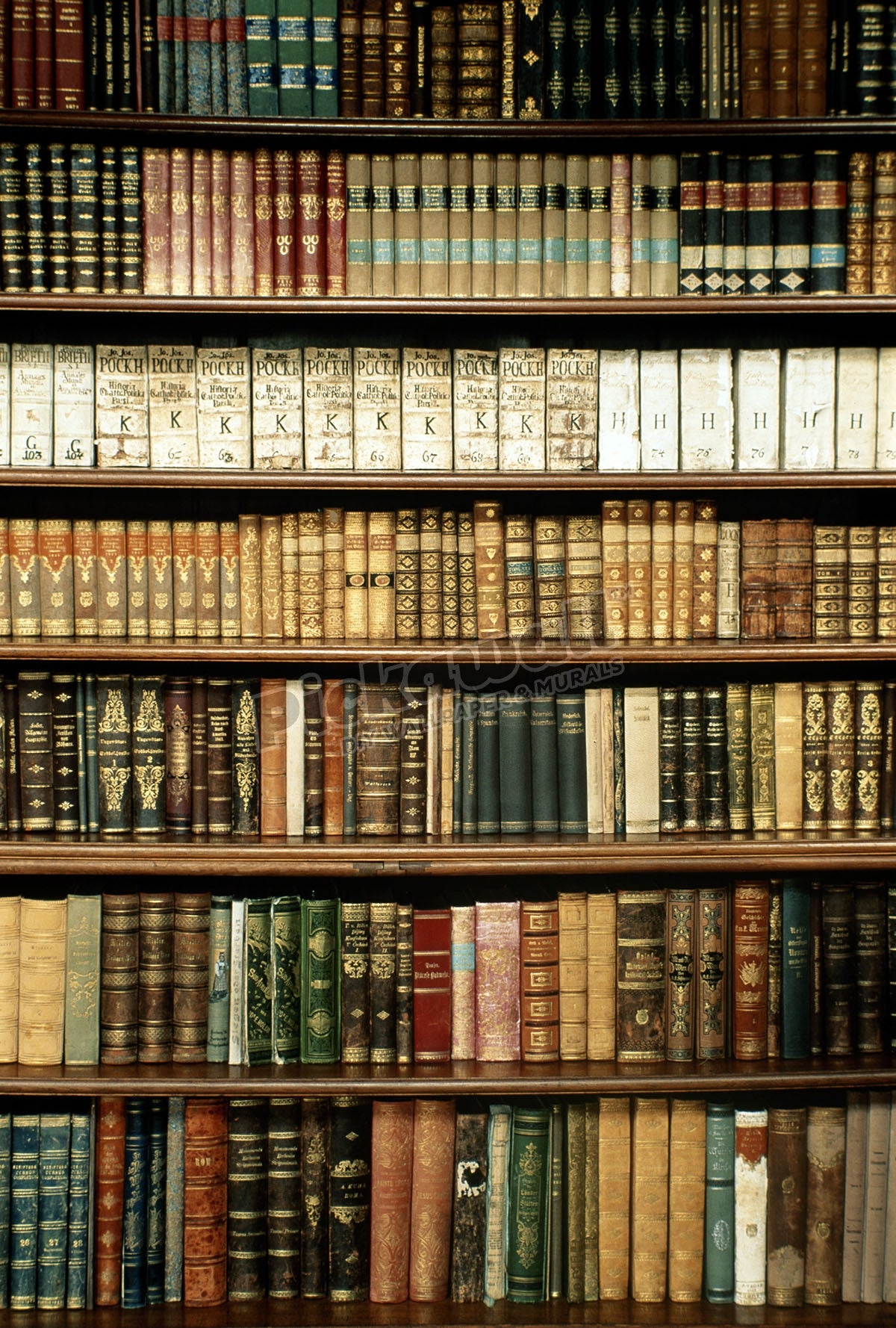 Old Bookshelves