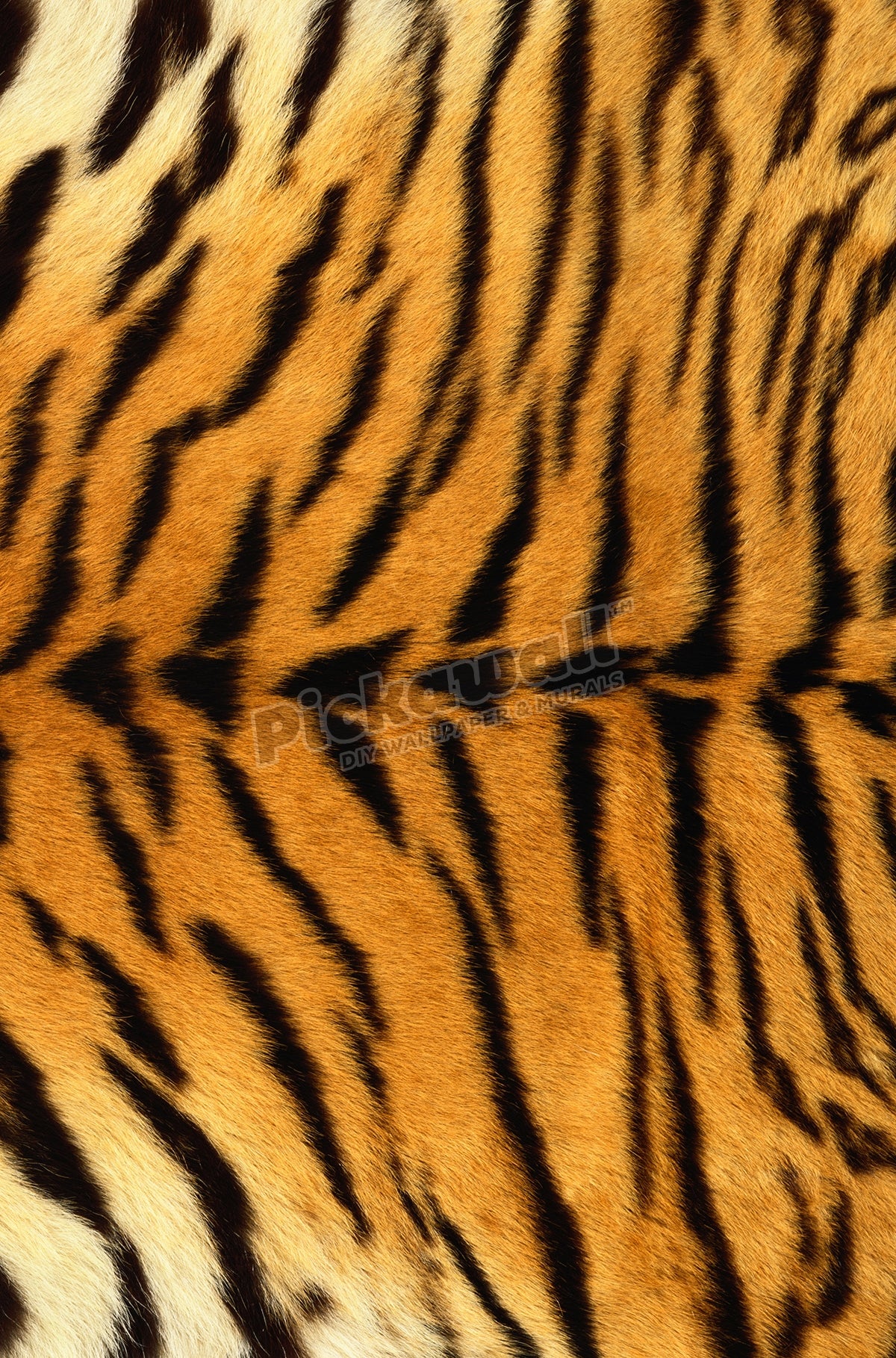 Siberian Tiger Fur