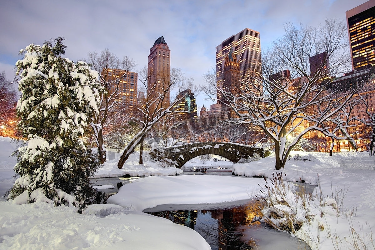 Winter in New York City'