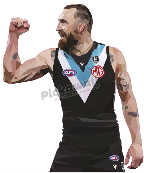 Charlie Dixon by DG Designs X AFL - Charlie Dixon Decal image