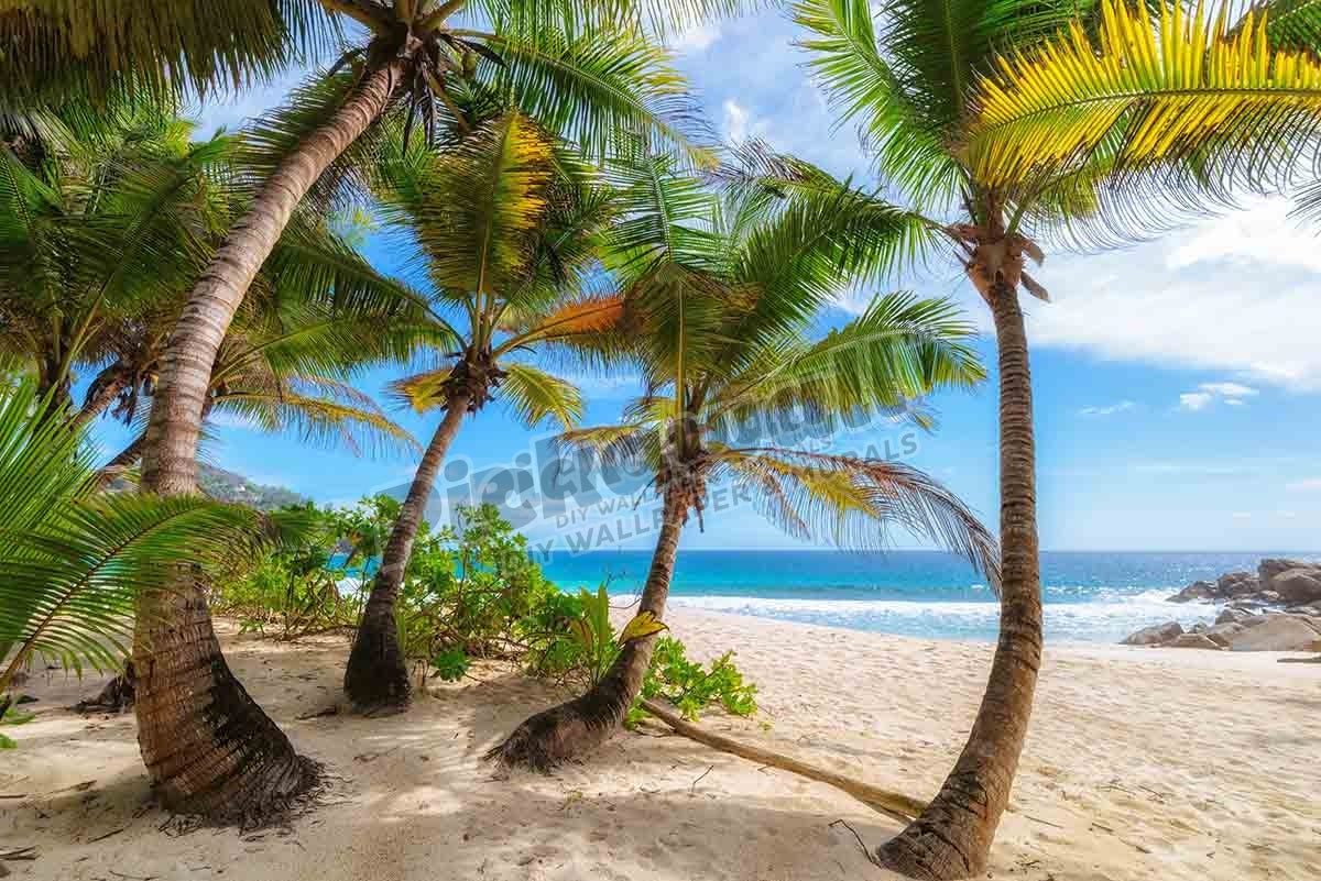 Palm trees on a tropical beach