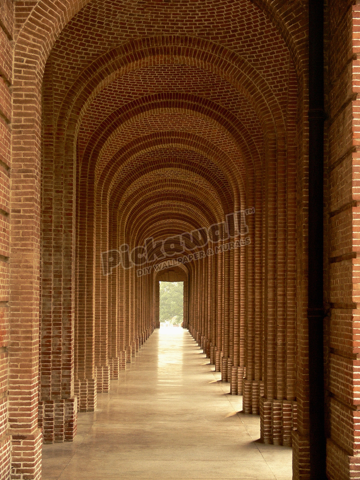 Forest Research Institute