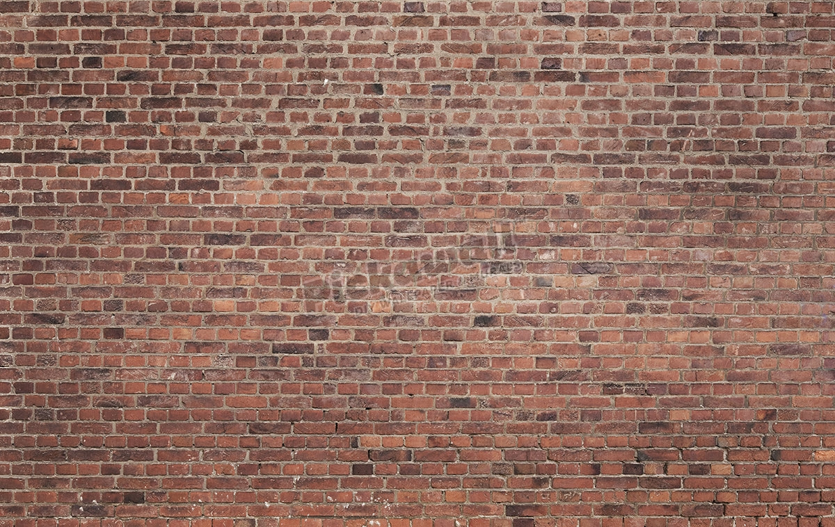 Brick Wall grunge