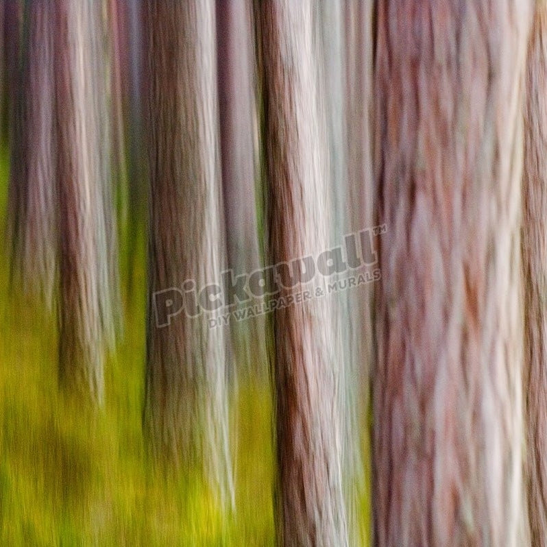Abstract of Pine Forest - Pickawall