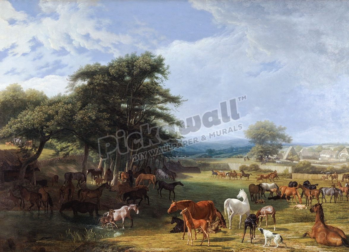 Horse Meadow by Madam Blanc