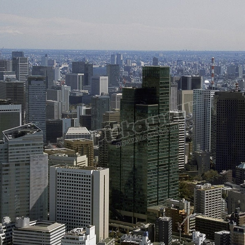 Aerial view of Tokyo, Japan - Pickawall